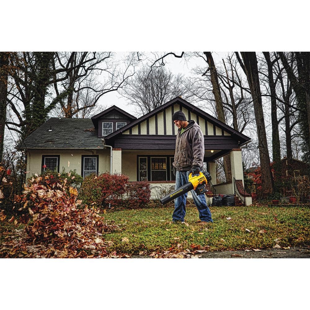 Dewalt 20V Cordless Trimmer & Blower Combo Kit