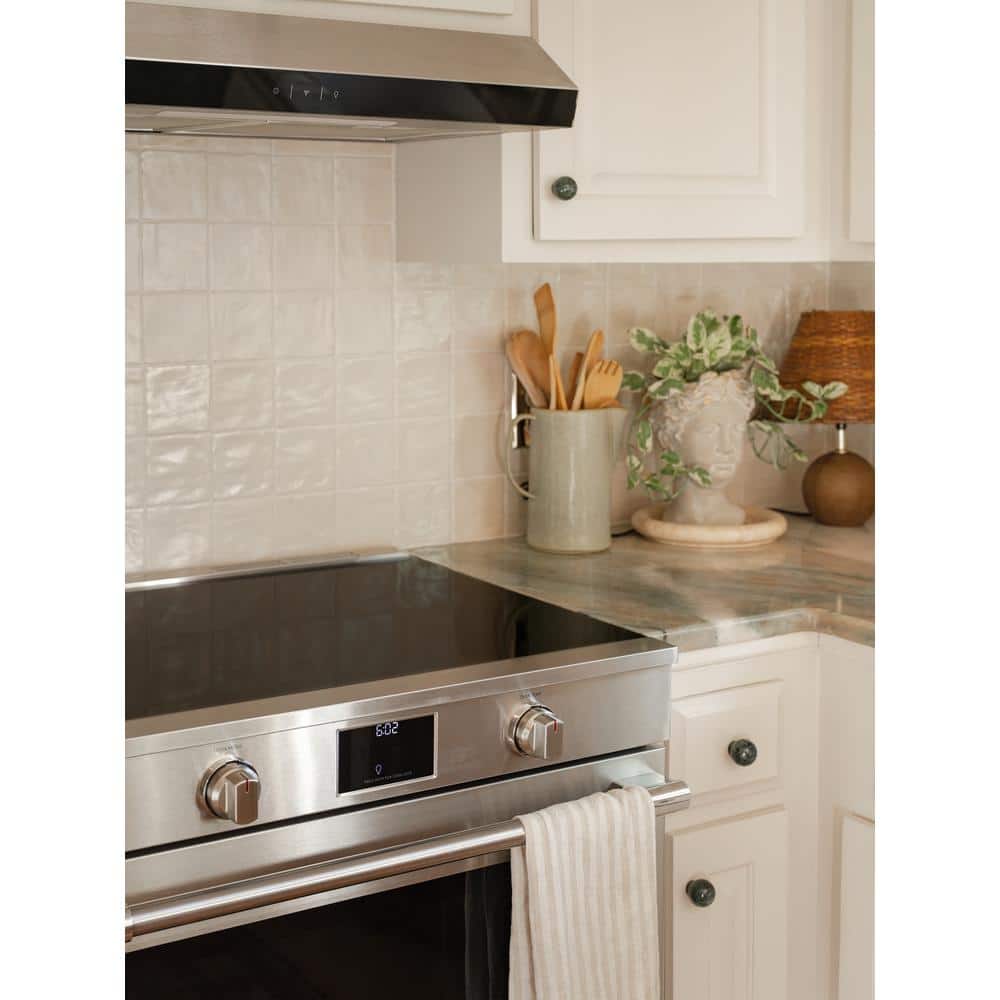 Frigidaire Professional 30 in. Induction Range