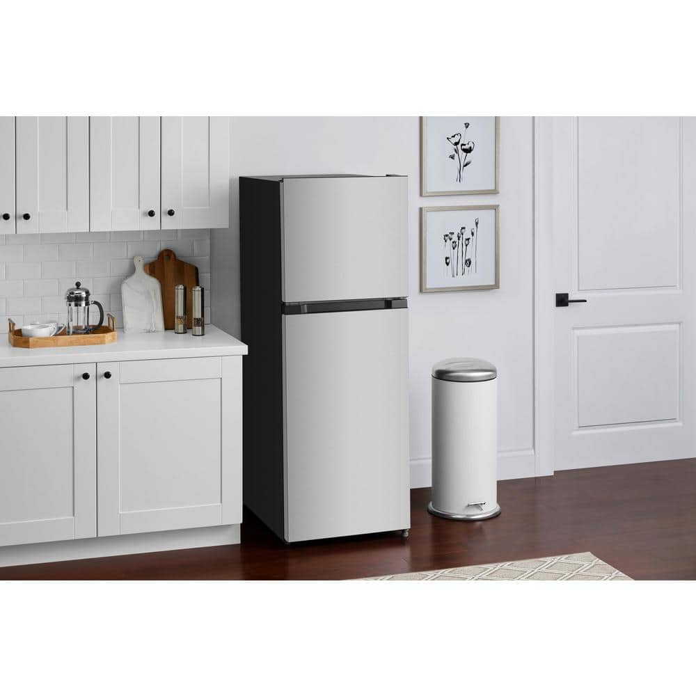 10.1 cu. ft. Top Freezer Refrigerator